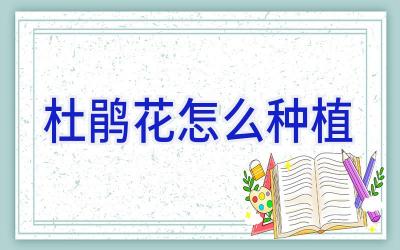 杜鹃花怎么种植插图