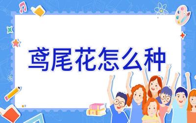 鸢尾花怎么种插图 鸢尾花怎么种插图