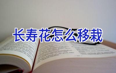 长寿花怎么移栽插图 长寿花怎么移栽插图