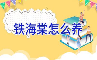 铁海棠怎么养插图 铁海棠怎么养插图