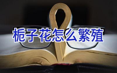 栀子花怎么繁殖插图