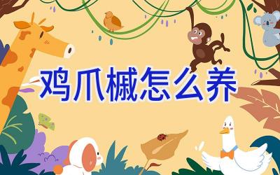 鸡爪槭怎么养插图 鸡爪槭怎么养插图