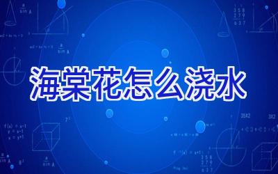 海棠花怎么浇水插图 海棠花怎么浇水插图