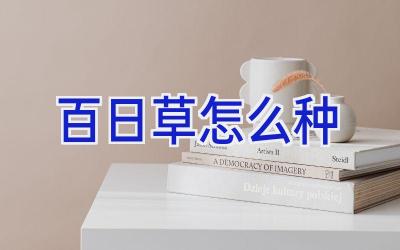 百日草怎么种插图 百日草怎么种插图