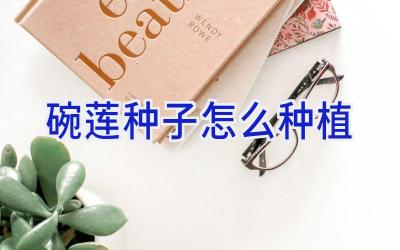 碗莲种子怎么种植插图