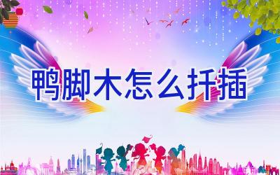 鸭脚木怎么扦插插图 鸭脚木怎么扦插插图