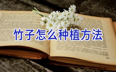 竹子怎么种植方法插图