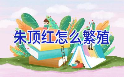 朱顶红怎么繁殖插图 朱顶红怎么繁殖插图