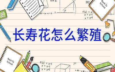 长寿花怎么繁殖插图