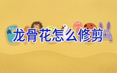 龙骨花怎么修剪插图 龙骨花怎么修剪插图