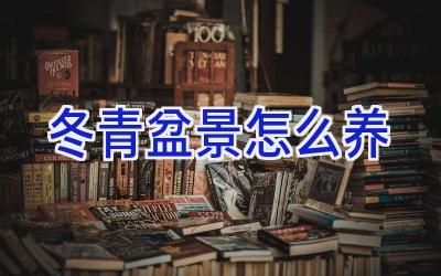 冬青盆景怎么养插图 冬青盆景怎么养插图