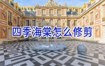 四季海棠怎么修剪插图 四季海棠怎么修剪插图