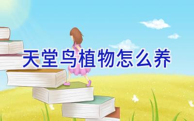 天堂鸟植物怎么养插图