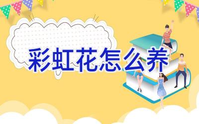 彩虹花怎么养插图