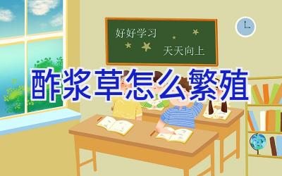 酢浆草怎么繁殖插图 酢浆草怎么繁殖插图