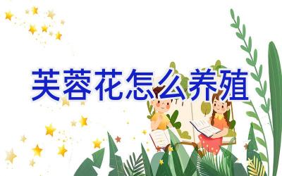 芙蓉花怎么养殖插图