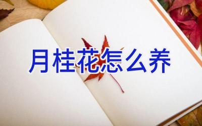 月桂花怎么养插图 月桂花怎么养插图