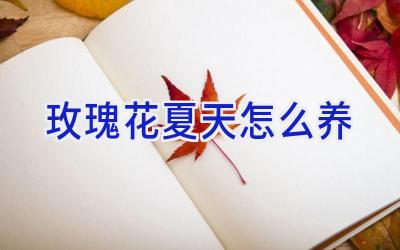 玫瑰花夏天怎么养插图