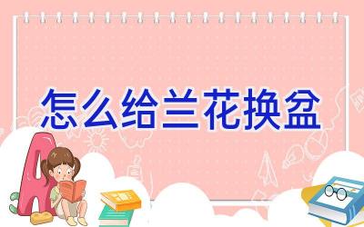 怎么给兰花换盆插图 怎么给兰花换盆插图