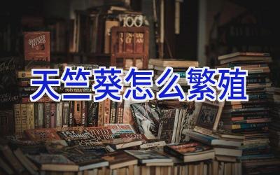 天竺葵怎么繁殖插图 天竺葵怎么繁殖插图