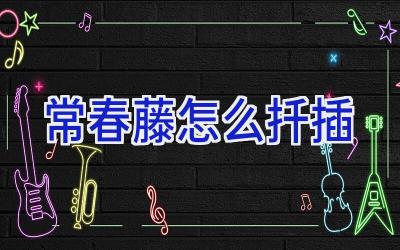 常春藤怎么扦插插图 常春藤怎么扦插插图