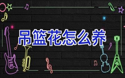 吊篮花怎么养插图