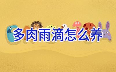 多肉雨滴怎么养插图