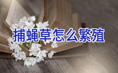 捕蝇草怎么繁殖插图 捕蝇草怎么繁殖插图