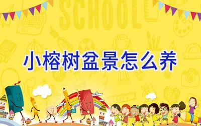 小榕树盆景怎么养插图 小榕树盆景怎么养插图