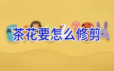 茶花要怎么修剪插图 茶花要怎么修剪插图