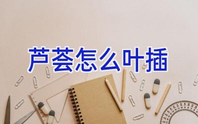 芦荟怎么叶插插图