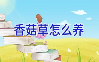 香菇草怎么养插图