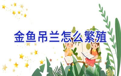 金鱼吊兰怎么繁殖插图 金鱼吊兰怎么繁殖插图