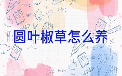 圆叶椒草怎么养插图 圆叶椒草怎么养插图