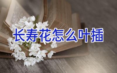 长寿花怎么叶插插图 长寿花怎么叶插插图