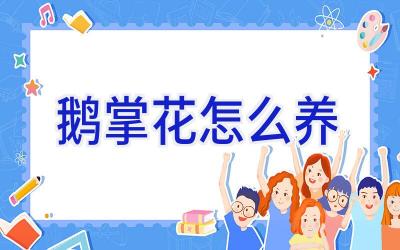 鹅掌花怎么养插图