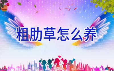 粗肋草怎么养插图 粗肋草怎么养插图