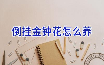 倒挂金钟花怎么养插图 倒挂金钟花怎么养插图