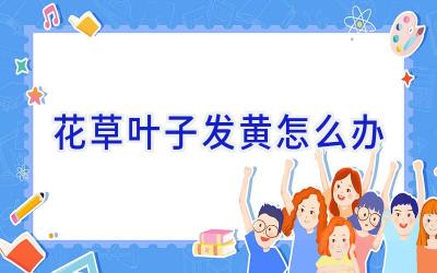 花草叶子发黄怎么办插图 花草叶子发黄怎么办插图