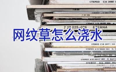 网纹草怎么浇水插图 网纹草怎么浇水插图