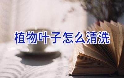 植物叶子怎么清洗插图 植物叶子怎么清洗插图