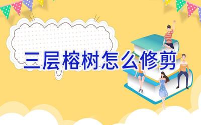 三层榕树怎么修剪插图 三层榕树怎么修剪插图