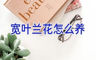 宽叶兰花怎么养插图 宽叶兰花怎么养插图