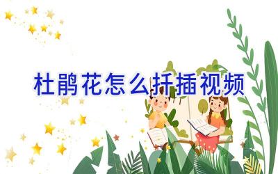 杜鹃花怎么扦插视频插图 杜鹃花怎么扦插视频插图