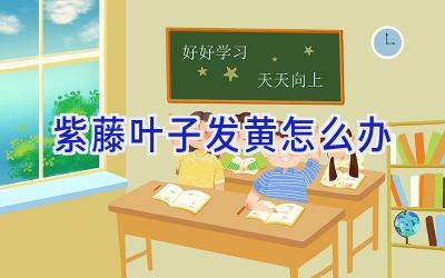 紫藤叶子发黄怎么办插图