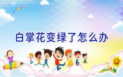 白掌花变绿了怎么办插图 白掌花变绿了怎么办插图