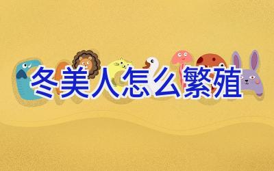 冬美人怎么繁殖插图 冬美人怎么繁殖插图