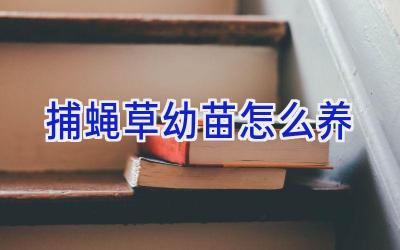 捕蝇草幼苗怎么养插图 捕蝇草幼苗怎么养插图