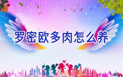 罗密欧多肉怎么养插图 罗密欧多肉怎么养插图