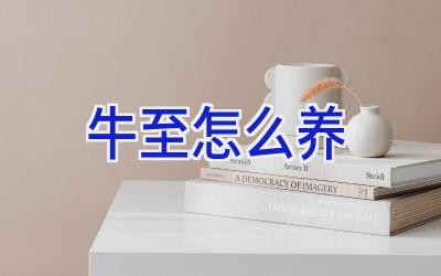 牛至怎么养插图 牛至怎么养插图